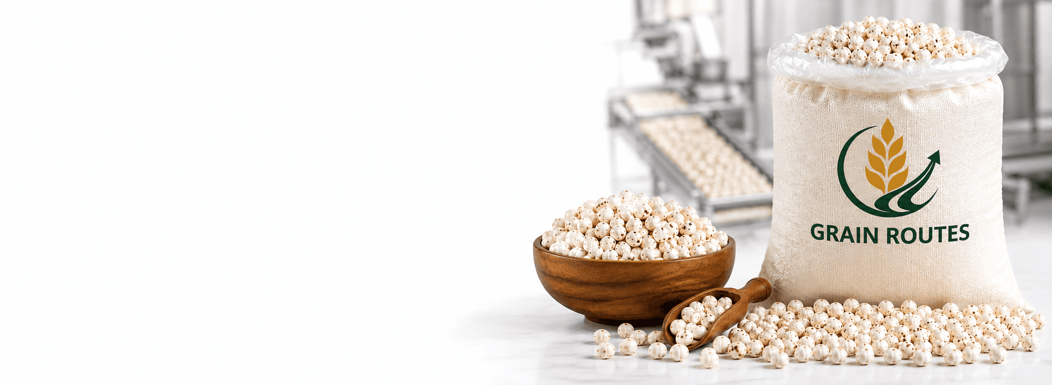 Grain Routes — roasted makhana facility